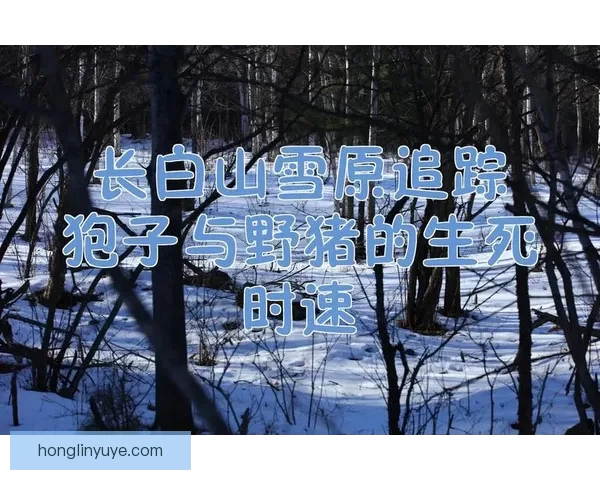 以睡醒发现C1V1为中心的冬日晨光追忆与未知旅程延续细语心迹