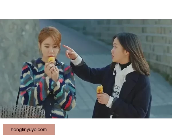 姐妹情深韩国最好看的韩剧里绽放温柔力量与真挚梦共赴光影旅程